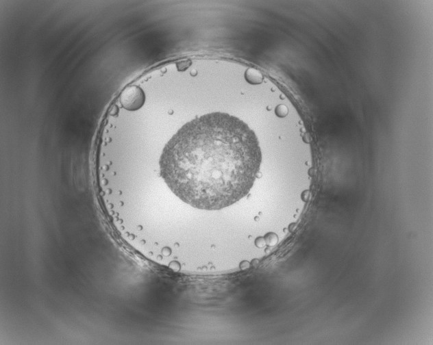 X0000059230856200511111546