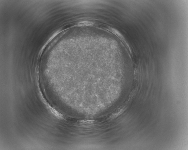 X0000059230859200511111546