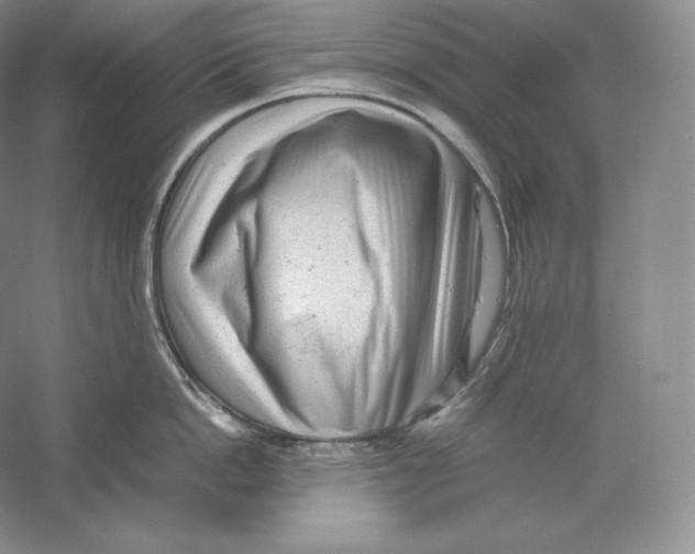 X0000059230862200511111546