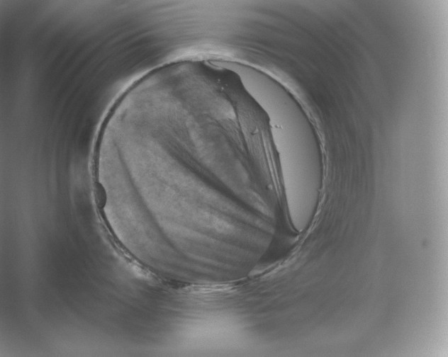 X0000059230864200511111547