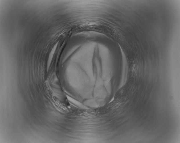 X0000059230868200511111546