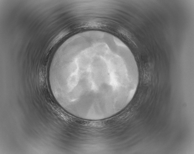 X0000059230874200511111546