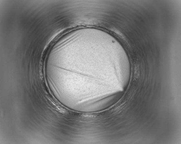 X0000059230878200511111545