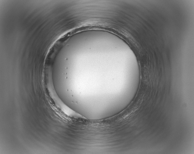 X0000059230880200511111545