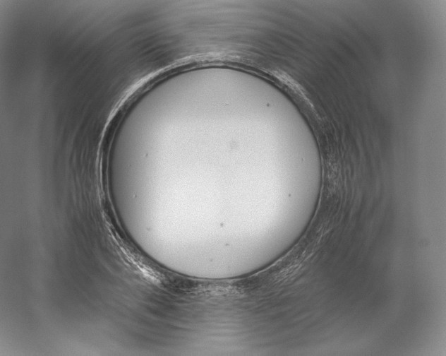 X0000059230886200511111545