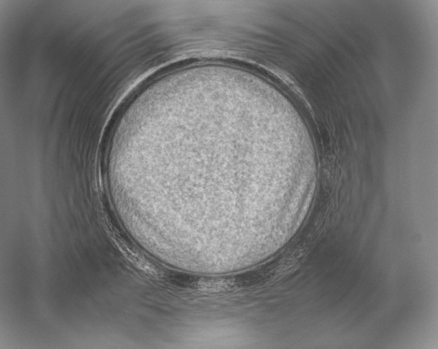 X0000059230887200511111545