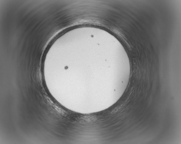 X0000059230888200511111545