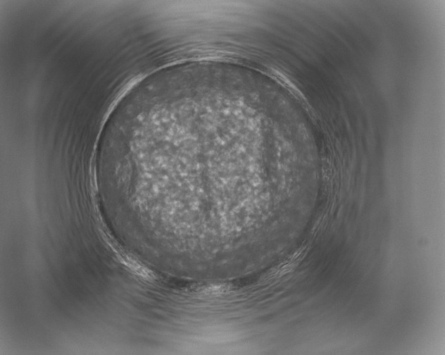 X0000059230891200511111545