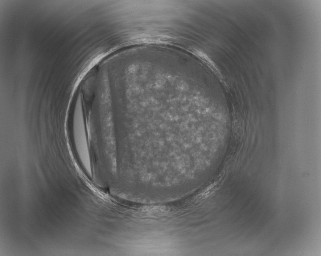 X0000059230893200511111545