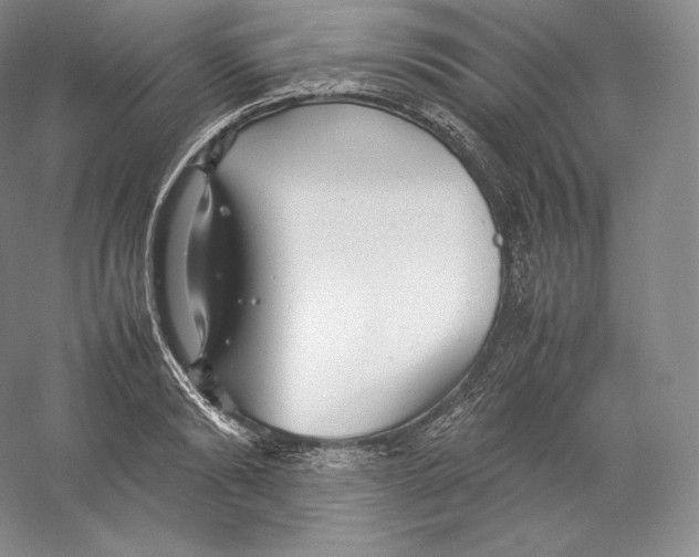 X0000059230894200511111545