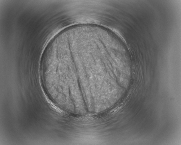 X0000059230895200511111545