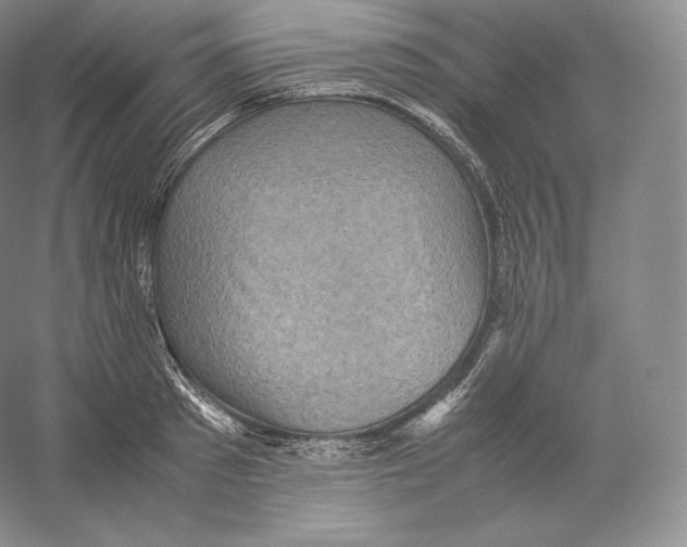 X0000059230897200511111545