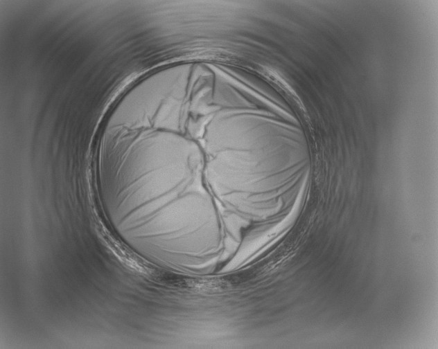 X0000059230899200511111545