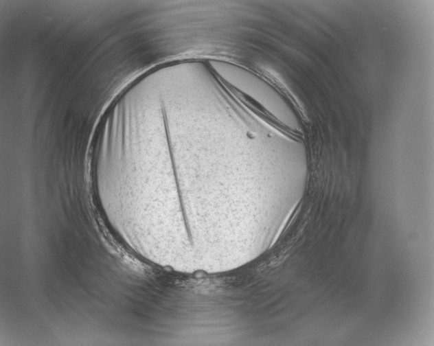 X0000059230900200511111545