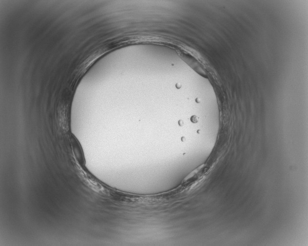 X0000059230905200511111545