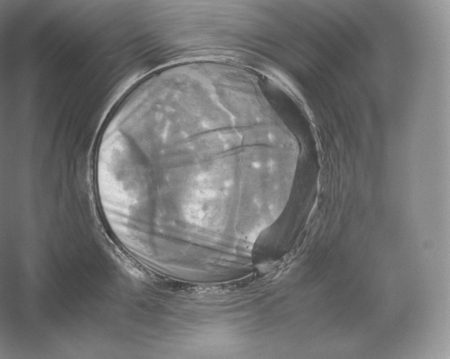 X0000059230907200511111545