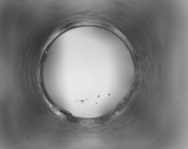 X0000059230909200511111545