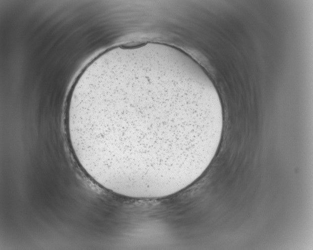 X0000059230912200511111545