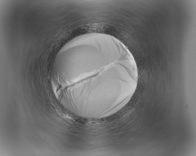 X0000059230913200511111544