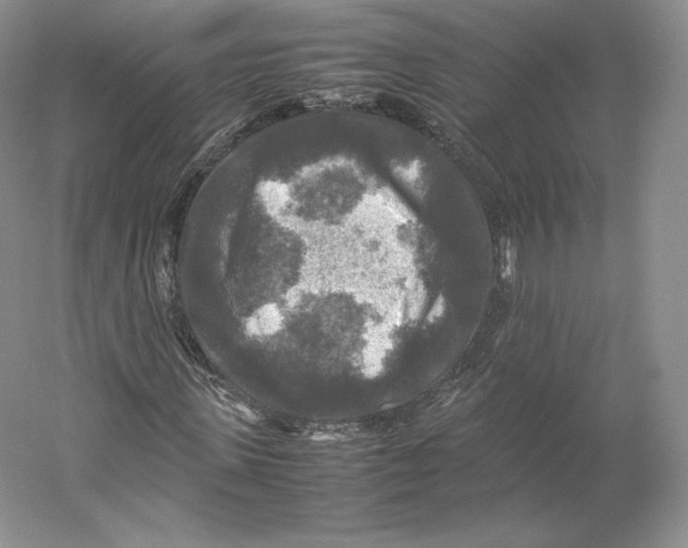 X0000059230915200511111544