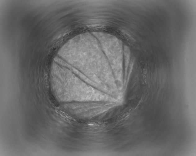 X0000059230917200511111544