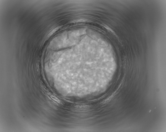 X0000059230921200511111544