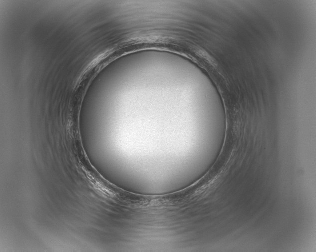 X0000059230922200511111544