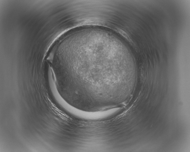 X0000059230926200511111544