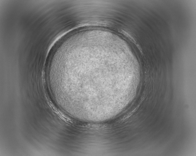 X0000059230928200511111544