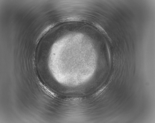 X0000059230930200511111544