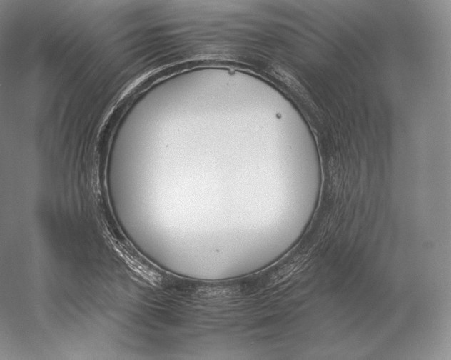 X0000059230931200511111544