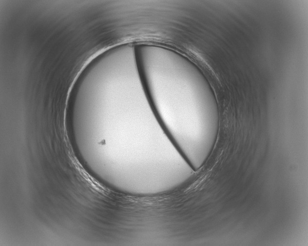 X0000059230932200511111544