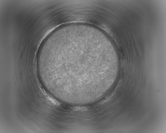 X0000059230933200511111544