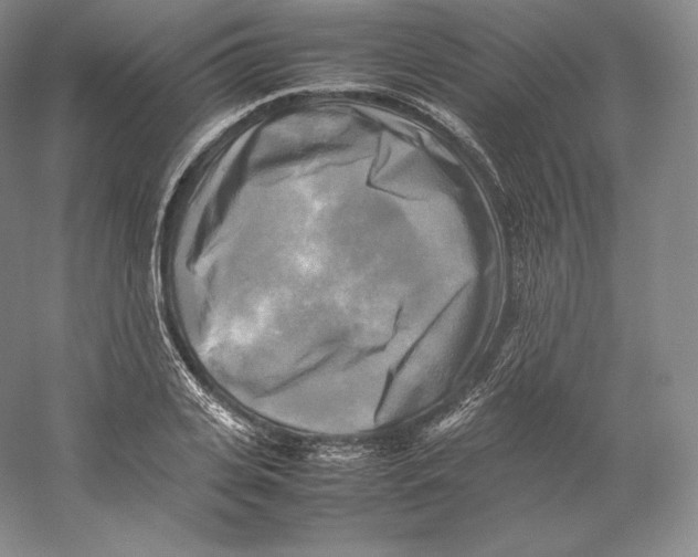 X0000059230935200511111544