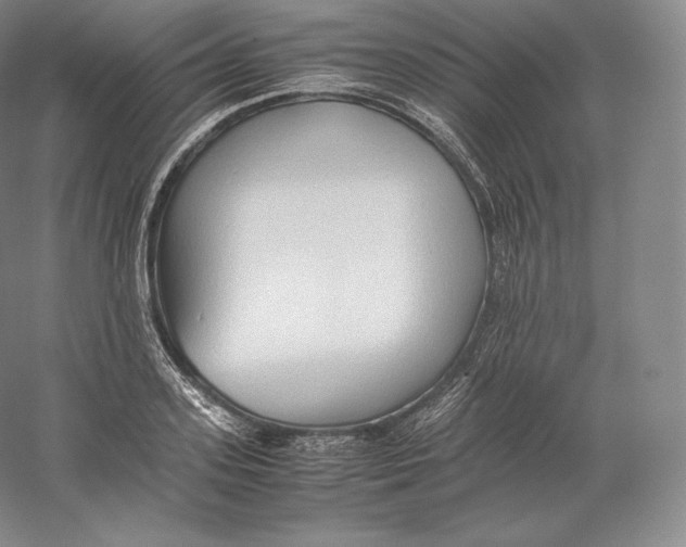 X0000059230939200511111545