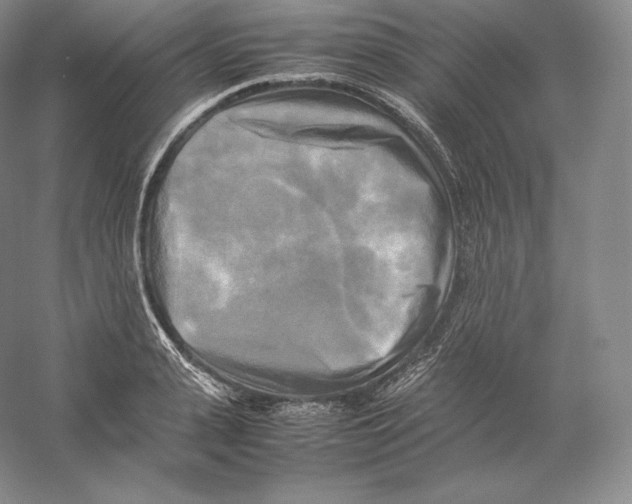 X0000059230943200511111545