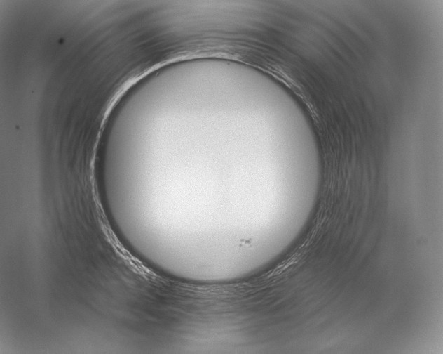 X0000059230944200511111545