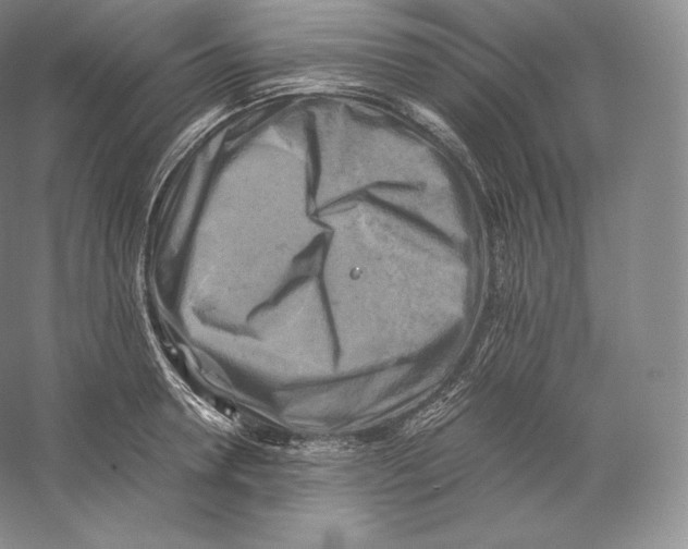 X0000059230946200511111545