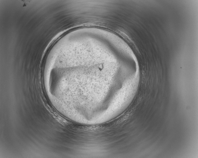 X0000059230948200511111545