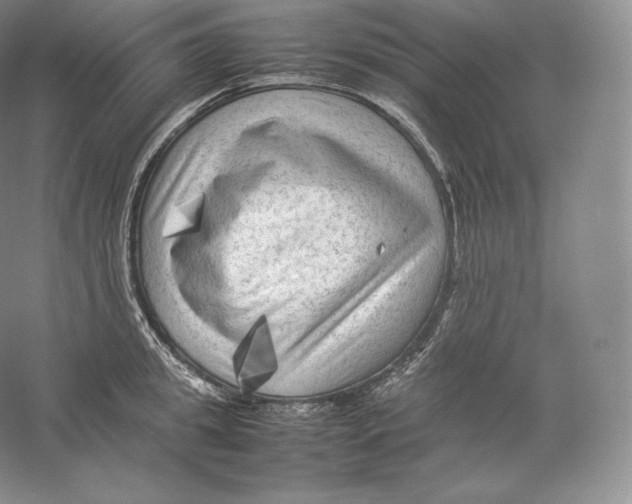 X0000059230949200511111545