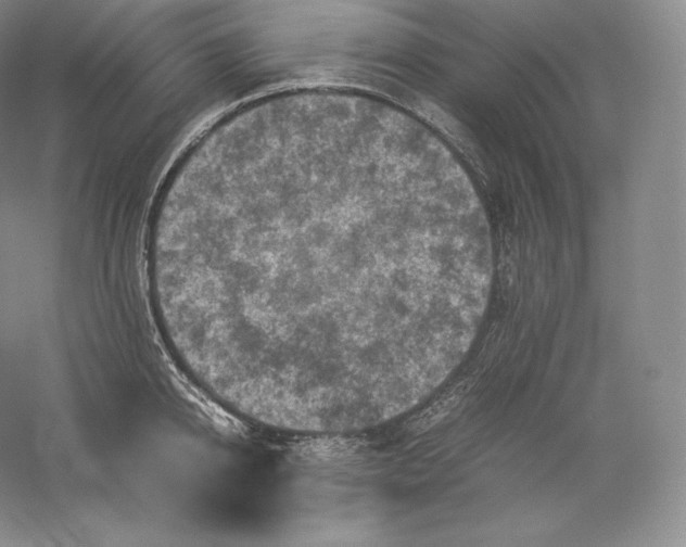 X0000059230950200511111545