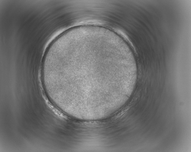 X0000059230952200511111545