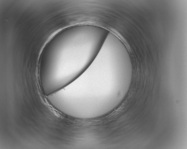 X0000059230956200511111545