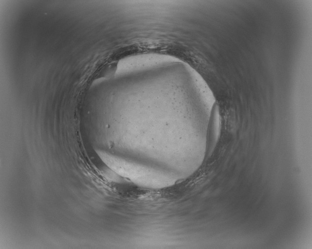 X0000059230961200511111544