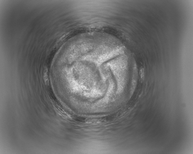 X0000059230963200511111544