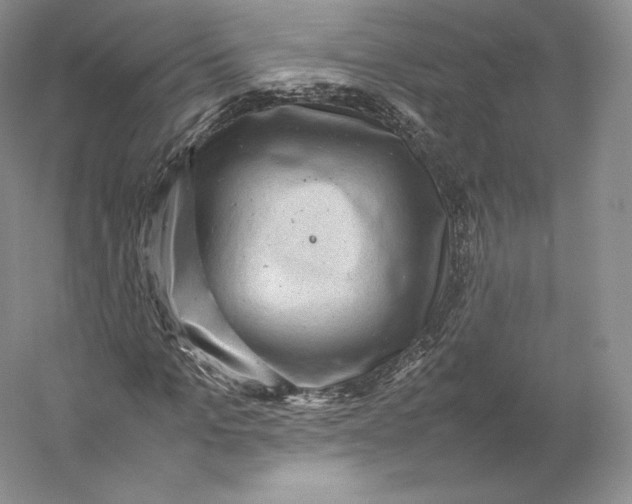 X0000059230965200511111544