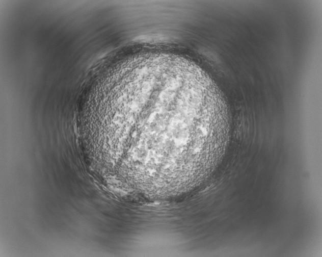 X0000059230966200511111544