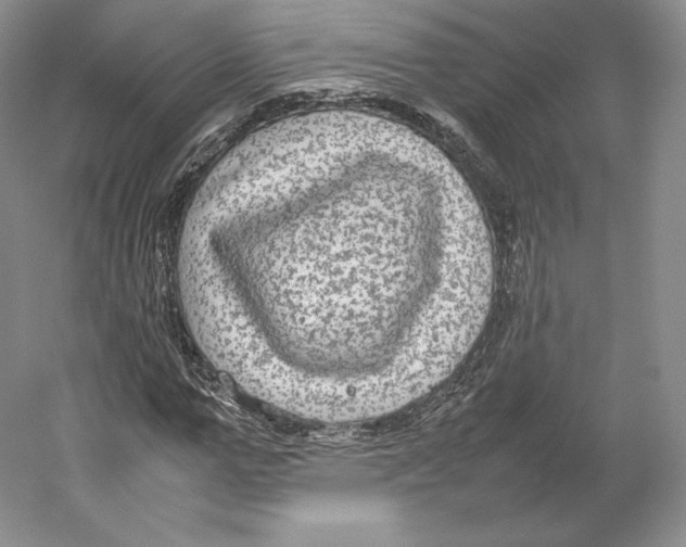 X0000059230967200511111544