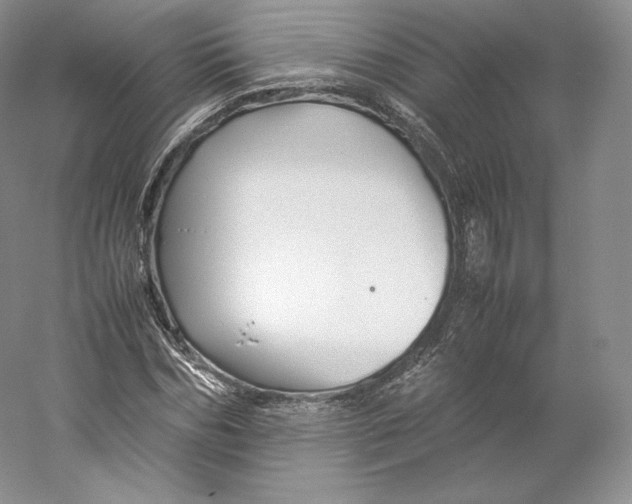 X0000059230970200511111544