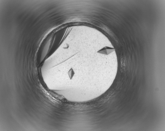 X0000059230972200511111544